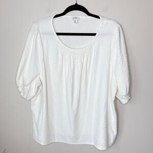 J.Crew‎ Women's 2X Cream Swiss Dot Short Sleeve Smocked Blouse Round Neck Office